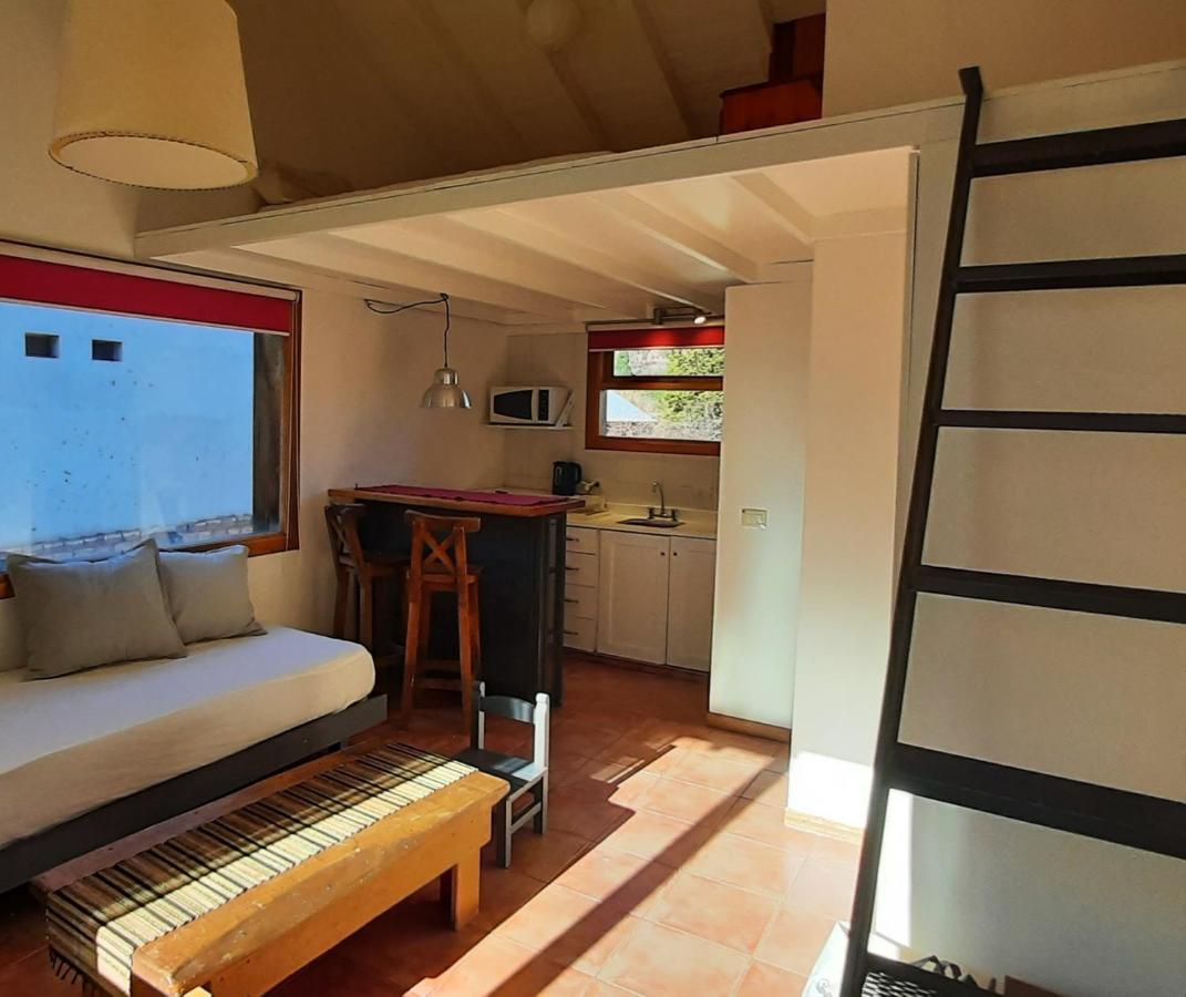 Apartamento Monoambiente Super Luminoso Y Acogedor